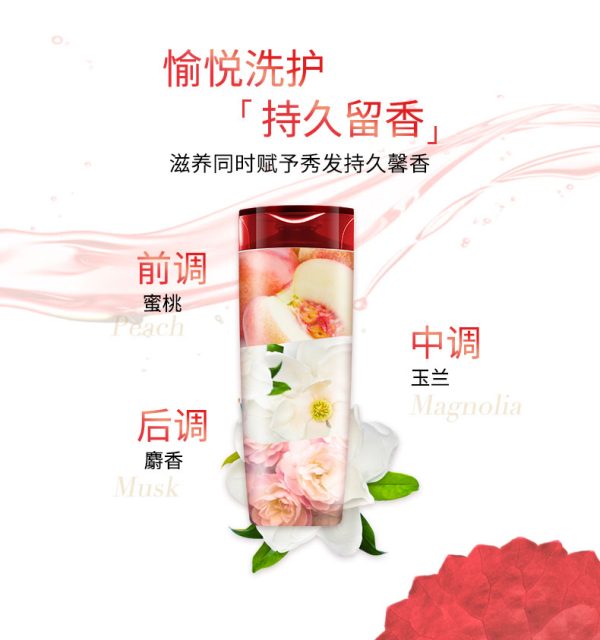 歐萊雅多效修護男女洗髮精多效：圖片 2