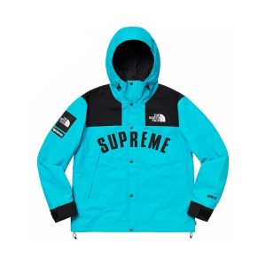 Supreme SS19 TNF Arc Logo Mountain Parka 北面衝鋒衣外套藍
