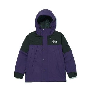 The North Face 1990經典GTX防水衝鋒衣3XEJ/3JPA/NJ4HM02/NJ2GM00 暗紫