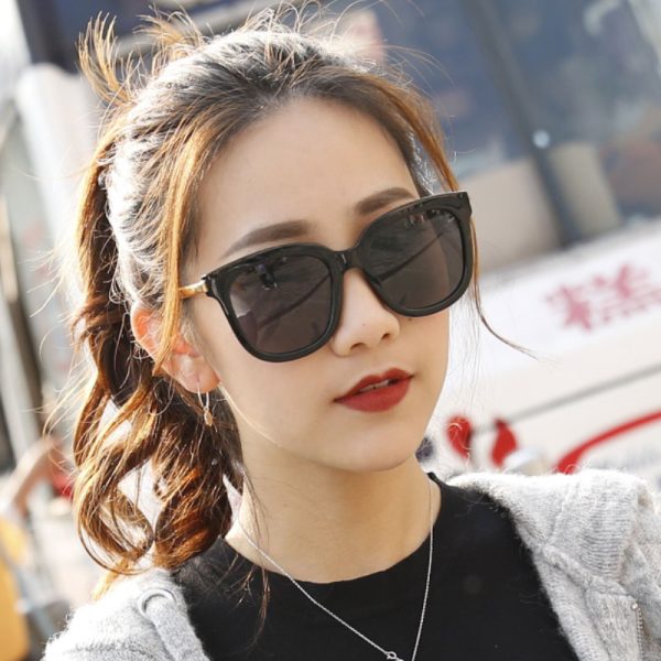 raydem/雷德蒙SS偏光太陽眼鏡B141