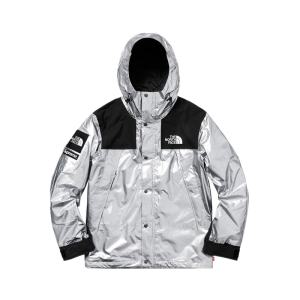 Supreme SS18 X TNF Metallic Mountain Parka 北臉聯名衝鋒衣銀色
