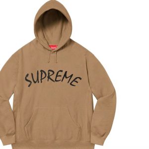 Supreme SS21 Week 8 FTP 弧形標誌刺繡連帽衛衣棕色