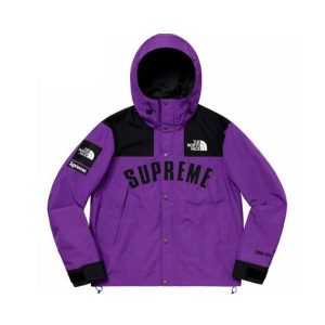 Supreme SS19 TNF Arc Logo Mountain Parka 北面衝鋒衣夾克紫