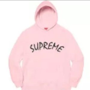 Supreme SS21 Week 8 FTP 弧形標誌刺繡連帽衛衣粉色