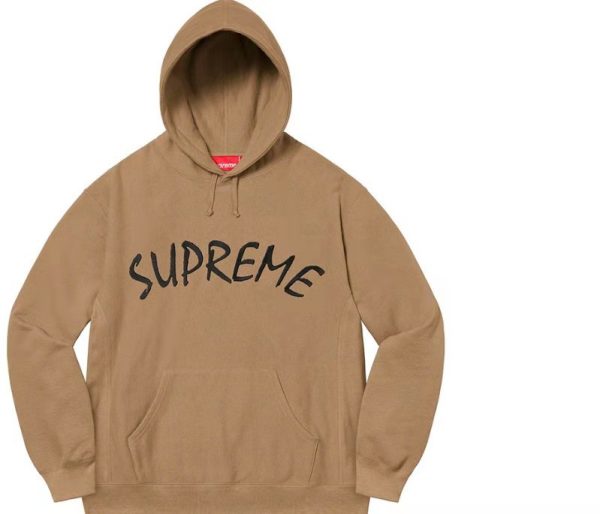Supreme SS21 Week 8 FTP 弧形標誌刺繡連帽衛衣棕色：圖片 2