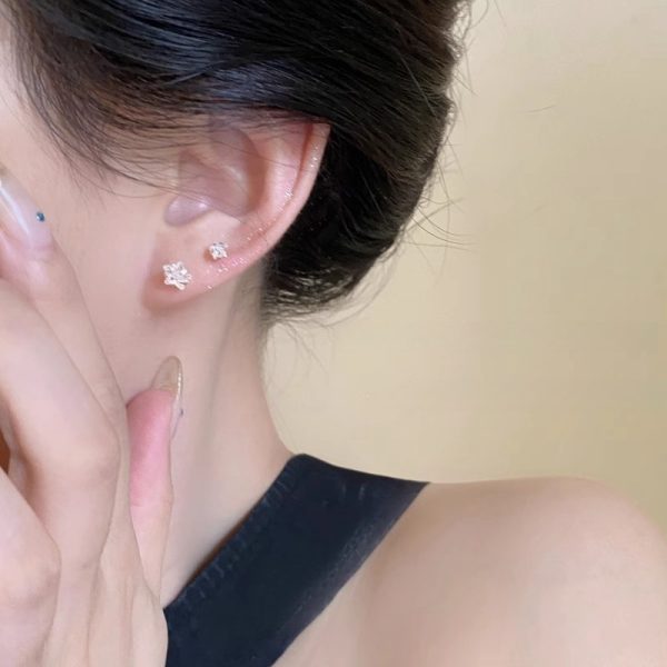 s925銀針鋯石星星耳環女睡免摘養耳洞耳環高級感精緻精緻耳環潮飾：圖片 3