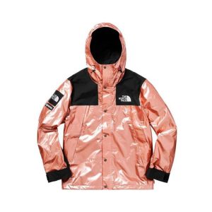Supreme SS18 X TNF Metallic Mountain Parka 北臉聯名衝鋒衣玫瑰金