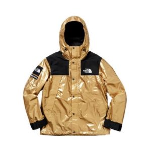 Supreme SS18 X TNF Metallic Mountain Parka 北臉聯名衝鋒衣金色