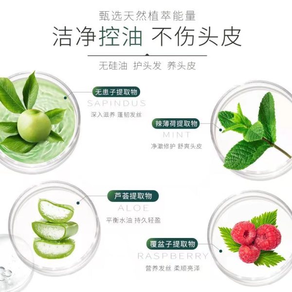 滋源無矽油茶籽男女洗頭水265ml 【油性】無患子：圖片 2