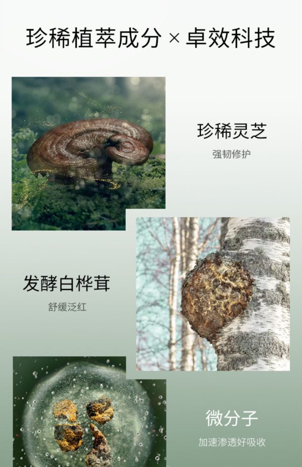 悅木之源靈芝精華水菌菇水濕敷去閉口維穩保濕爽膚水經典版：圖片 7