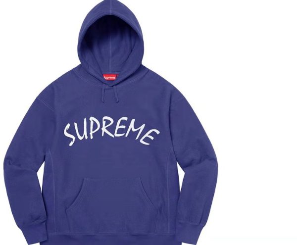 Supreme SS21 Week 8 FTP 弧形標誌刺繡連帽衛衣藍色：圖片 3